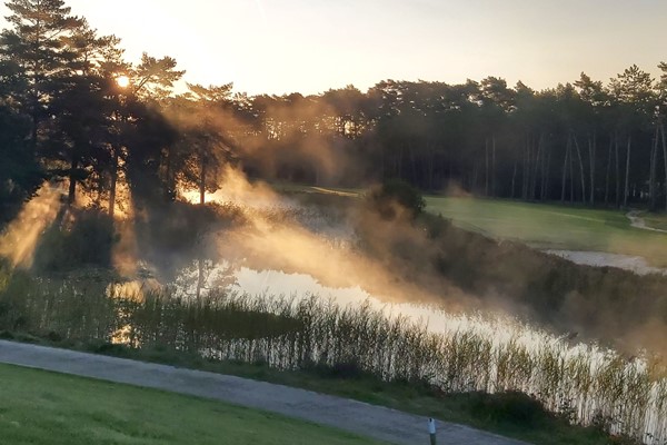 Twilight actie