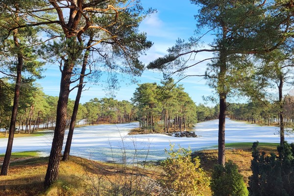 Winter trainingen