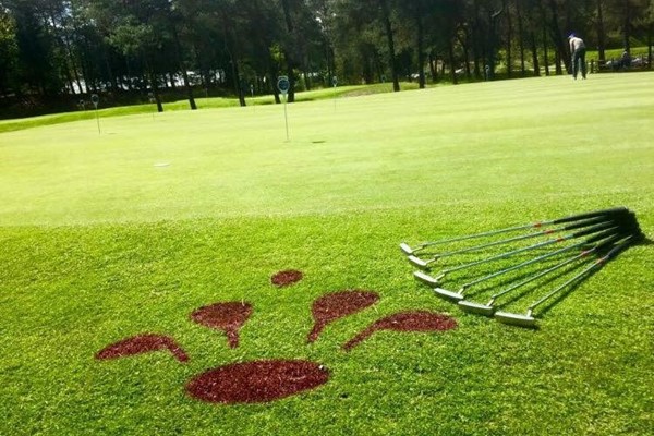 Samen trainen met de pro!
