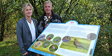 Vogelbord vogelbevolking 