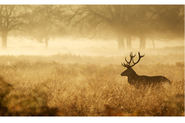 Wild en Wijn Weekenden